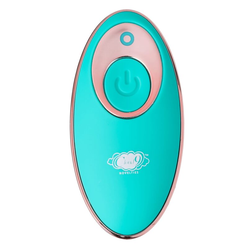 Cloud 9 Stroking Remote Control Egg with wireless remote and teal silicone.