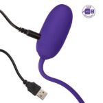 Best Kegel Balls for Beginners - Rechargeable Purple Set - Image 5